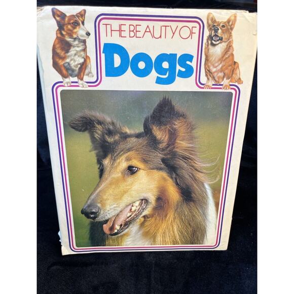 Vintage The Beauty of Dogs by Kenneth Bailey London England w Dust Jacket 1972 - Picture 1 of 13